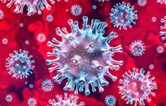 U Srpkoj 11 novozaraženih, preminula Banjalučanka