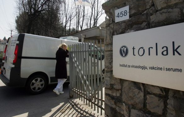 “Torlak” šalje BiH serum protiv zmijskog otrova