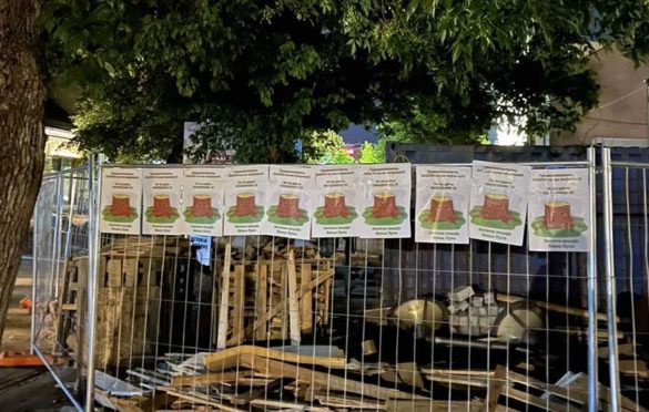 Banjalučani nezadovoljni sječom drveća u centru, imaju poruku za gradonačelnika