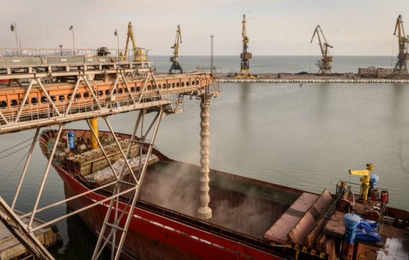 Kupac odbio ukrajinske žitarice