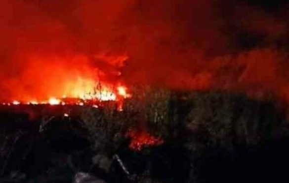 U Grčkoj se srušio avion koji je poletio iz Srbije, mediji: Prevozio opasne materije