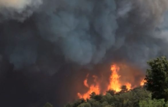 Novitović: Situacija u kanjonu Hrčavke pogoršana, ali pod kontrolom