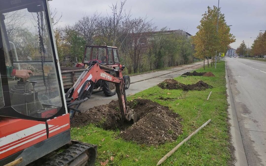 Podignuti novi i rekonstruisani postojeći drvoredi