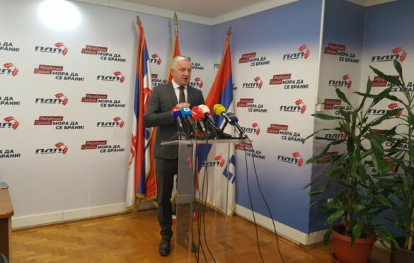 Borenović smatra da se o imovini treba raspravljati isključivo u Narodnoj skupštini