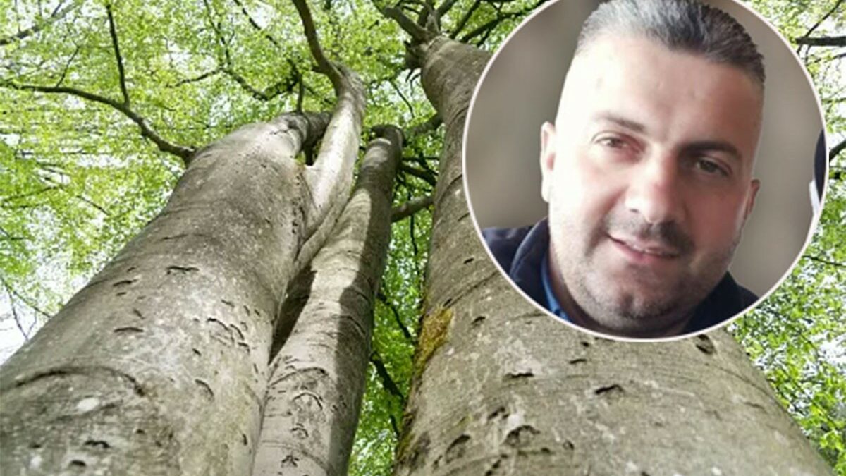 Detalji pogibije šumara: Bukva usmrtila oca dvoje djece