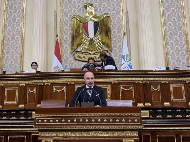 Petković na Forumu i Samitu u Kairu: Za održiv razvoj svima potrebne iste šanse