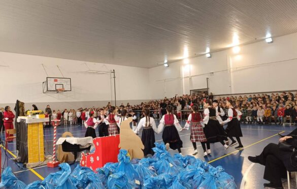 Nikolina Šljivić na nikoljdanskoj priredbi u Rogatici obezbijedila poklone za sve učenike