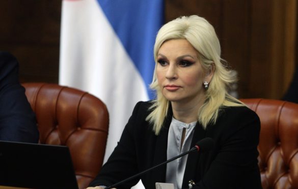 Mihajlović: Izjava Vulina nije zvanični stav Vlade Srbije