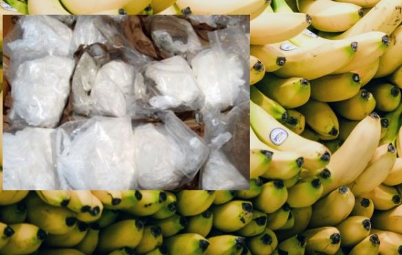 Ploče: U paketima s bananama u trgovačkom centru pronađeno 18,2 kilograma kokaina