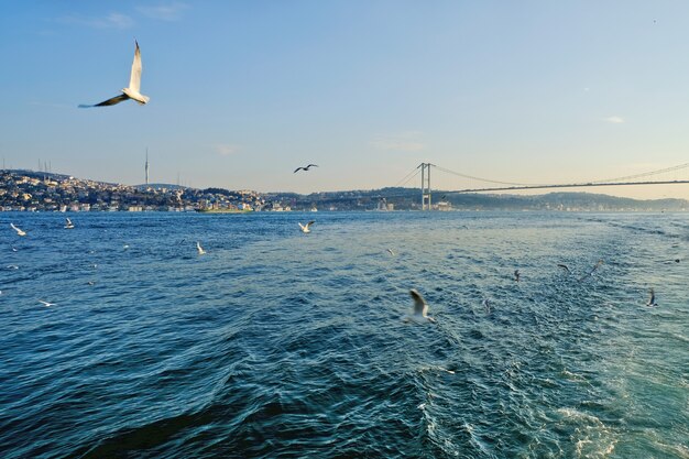 Kijev zatražio od Ankare da zatvori Bosfor i Dardanele