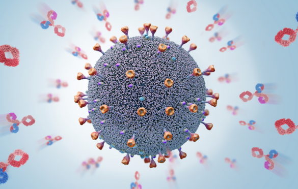 “Kraken” kuca na vrata Evrope