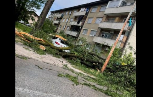 Tokom nevremena u Bihaću grana s drveta pala na jednu osobu i usmrtila je