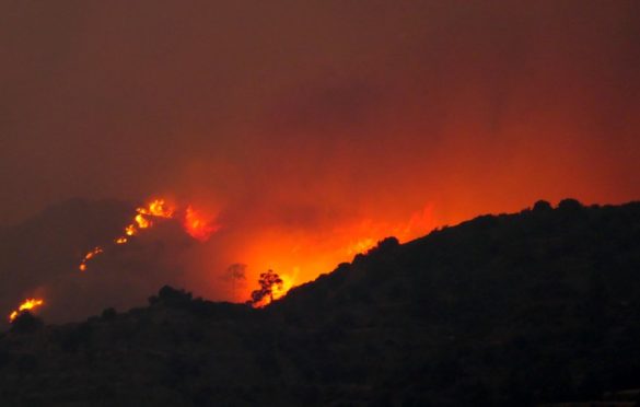 Kipar zatražio međunarodnu pomoć: “Najgori požar u istoriji zemlje”