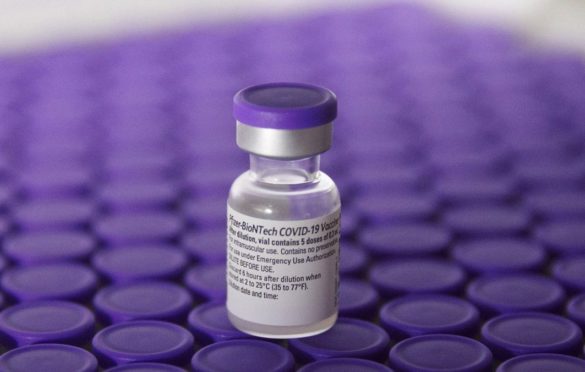 Fajzer traži odobrenje buster protiv omikrona