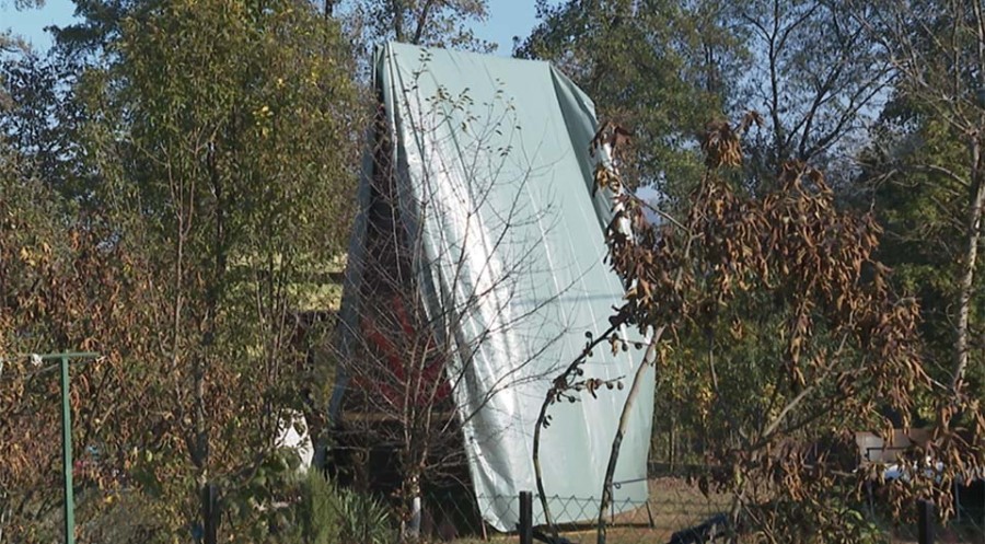 „Porodično drvo“ kao hobi: Ekonomisti šokirani Stanivukovićevim projektom