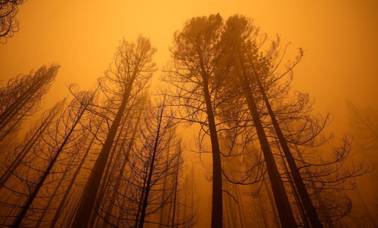 Jul bio najtopliji mjesec u istoriji: “Ovo je uznemiravajuće”